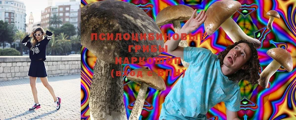 2c-b Медногорск
