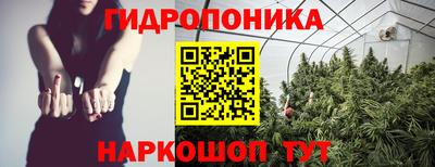 тгк Гусь-Хрустальный