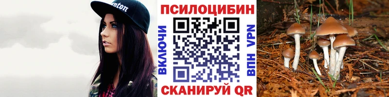 blacksprut ссылки  Люберцы  Псилоцибиновые грибы ЛСД 