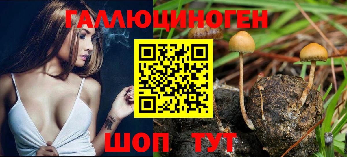 Люберцы  Галлюциногенные грибы MAGIC MUSHROOMS  Вход с VPN  Галлюциногенные грибы мухоморы 